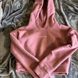 Alphalete cropped teddy hoodie